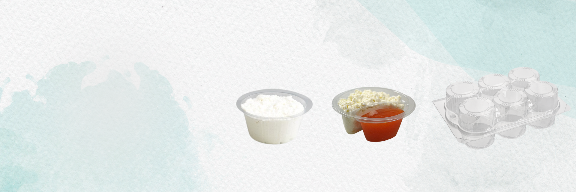 EMBALAGENS PARA QUEIJOS